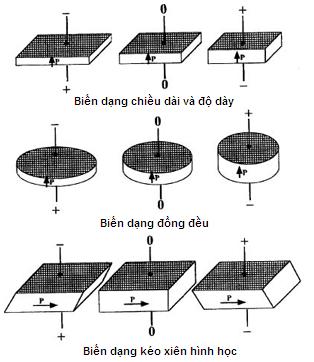 cong ty in, c&ocirc;ng ty in, in an, in ấn
